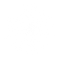 Fastpacevisionz